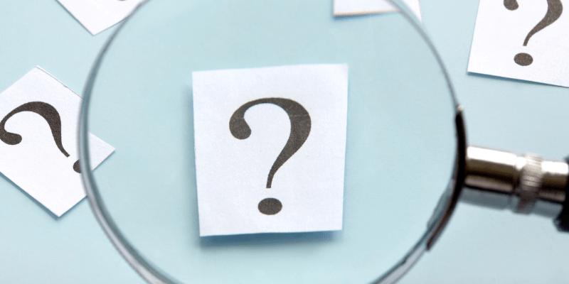 Los pasos de la curiosidad