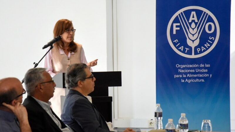 Transición energética en Cuba apuesta por las fuentes renovables