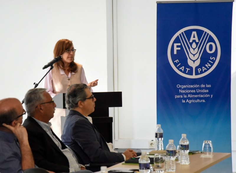 Transición energética en Cuba apuesta por las fuentes renovables
