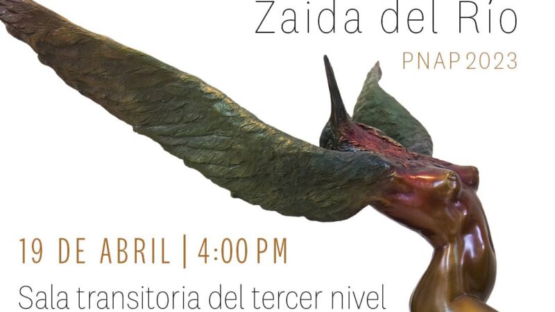 Zaida del Río desde el Aliento en Bellas Artes