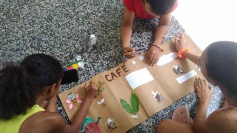 Realizarán en Cuba Festival Ambiental Madre Naturaleza