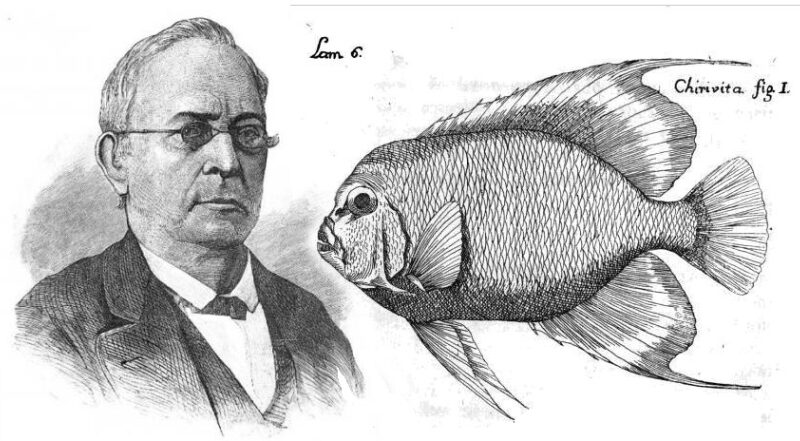 Felipe Poey: pionero de las ciencias naturales en Cuba