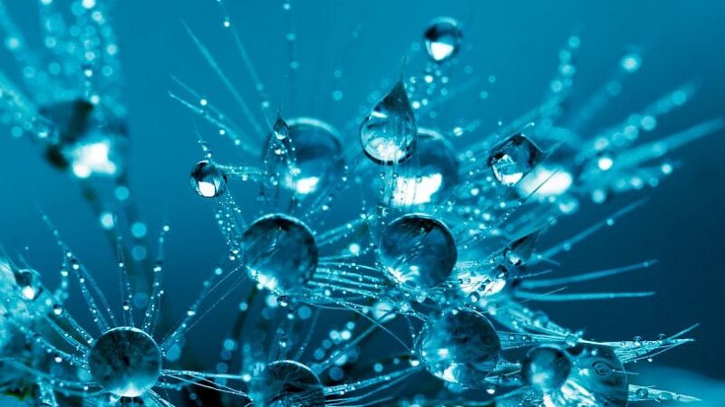 Gotas del saber, la actualidad científica en Radio Enciclopedia