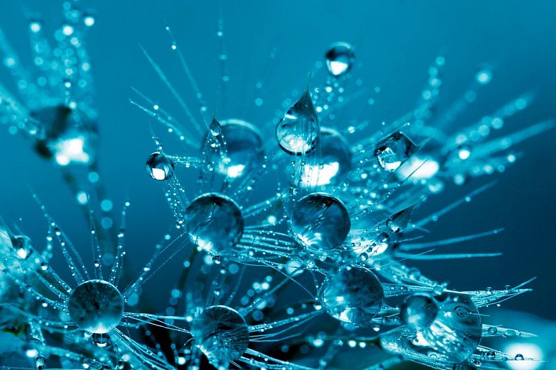 Gotas del saber, la actualidad científica en Radio Enciclopedia