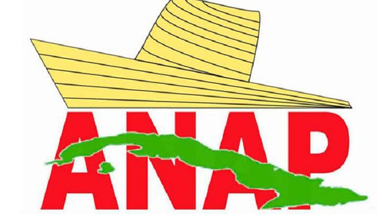 Por una ANAP más fortalecida, unida y productiva