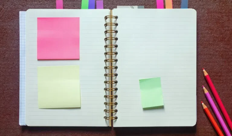 El diario de esta época, el journal