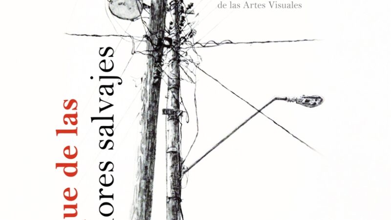 Por la búsqueda de un futuro más armonioso con la naturaleza