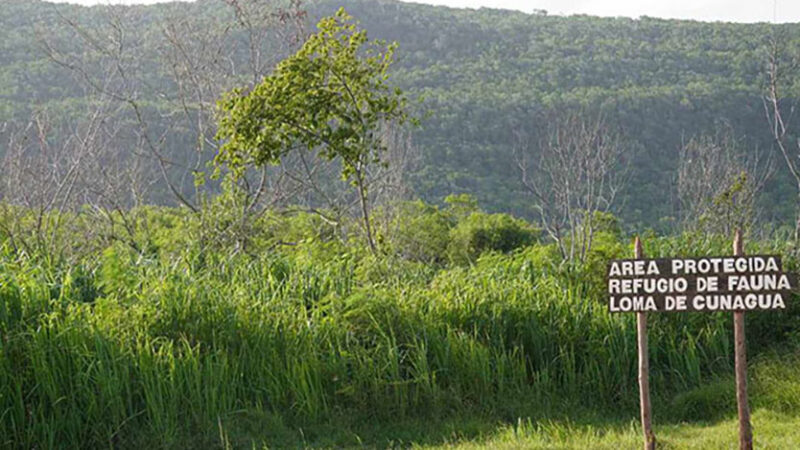 Loma de Cunagua en Ciego de Ávila, espacio para el ecoturismo en Cuba