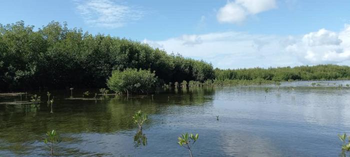 Punta Caribe, área protegida de la provincia de Pinar del Río