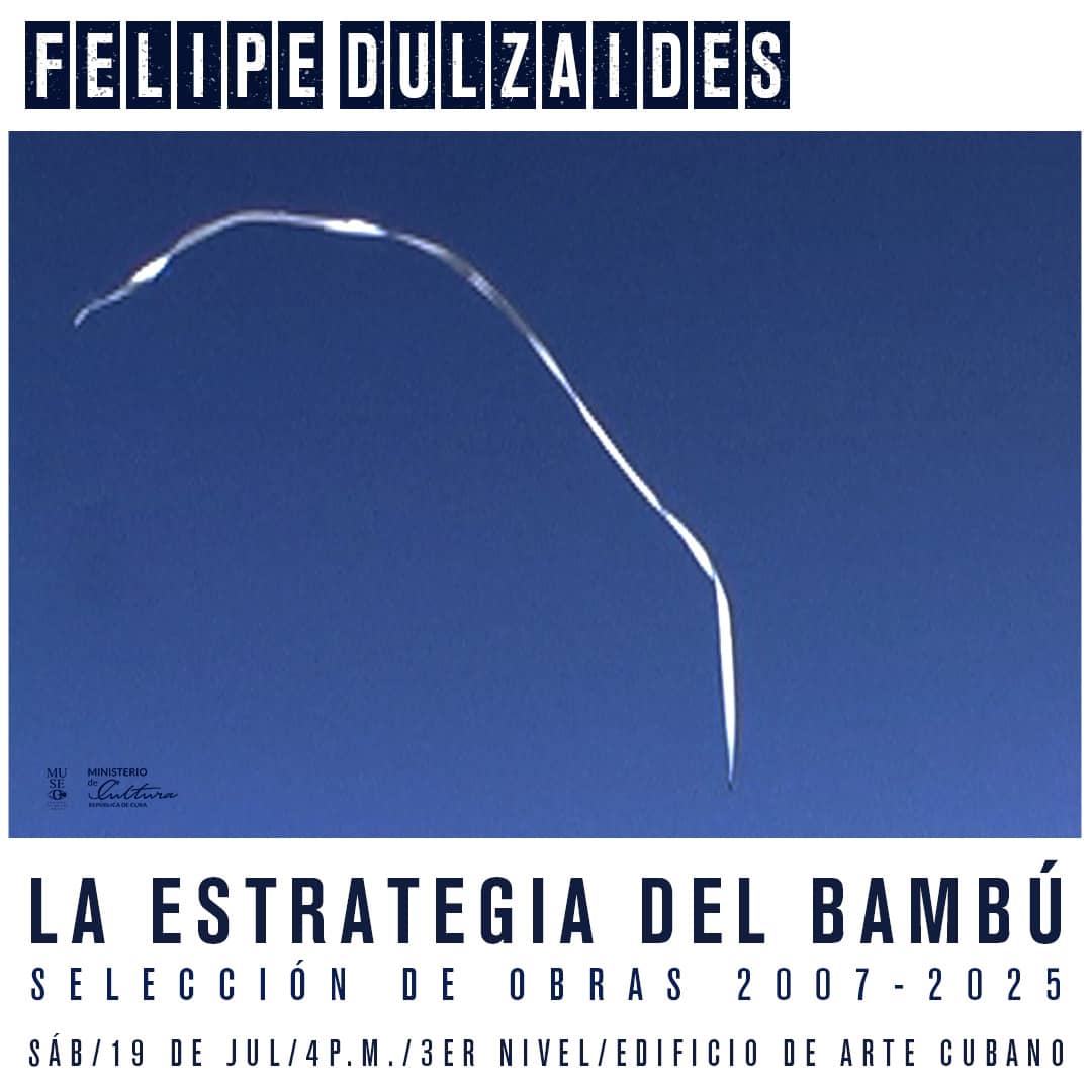 Inaugurarán primera exposición de Felipe Dulzaides en Bellas Artes