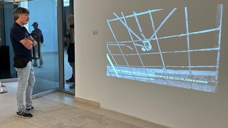 Acoge Bellas Artes nueva muestra de Felipe Dulzaides