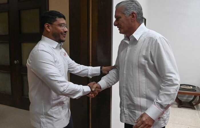 Recibió Díaz-Canel al Secretario Ejecutivo del ALBA-TCP