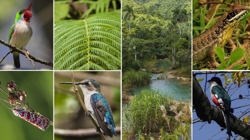 Gotas del saber, programa nacional cubano sobre la diversidad biológica