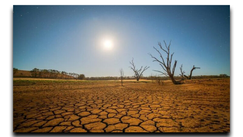 En sus manos está la solución: cero a la desertificación y a la sequía