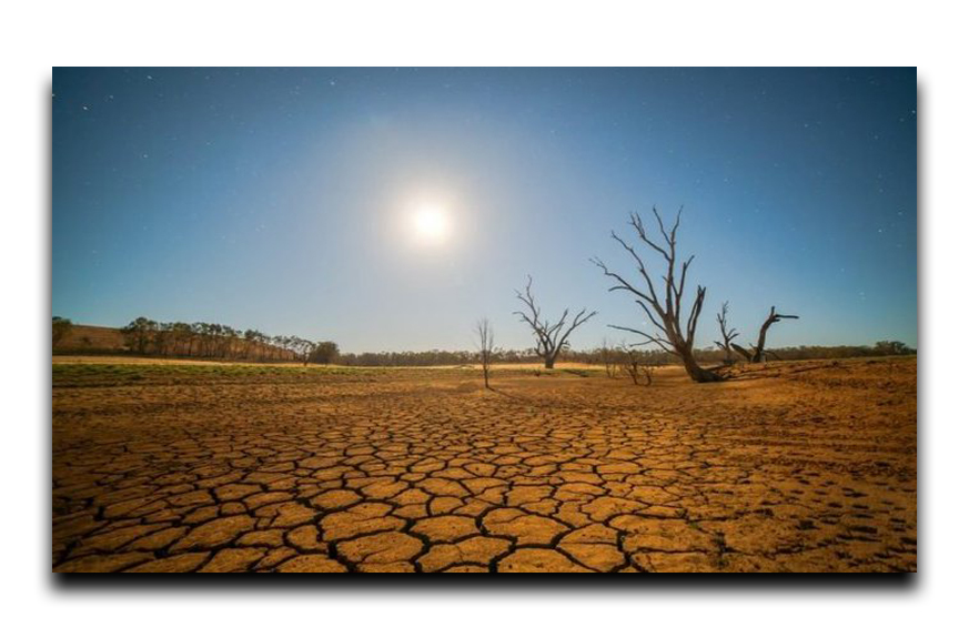 En sus manos está la solución: cero a la desertificación y a la sequía