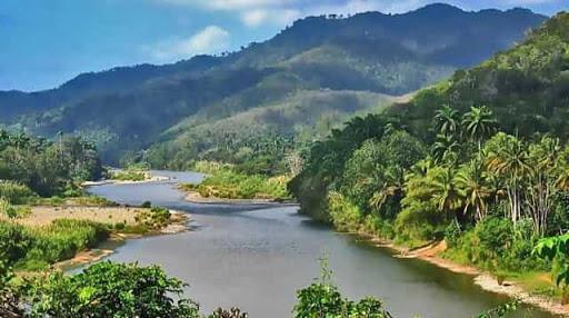 La diversidad biológica de la cuenca del río Toa