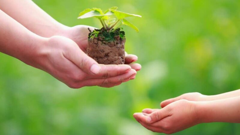 Las siete leyes espirituales del éxito, dar y recibir