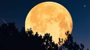Aficionados se preparan para observar Luna de esturión