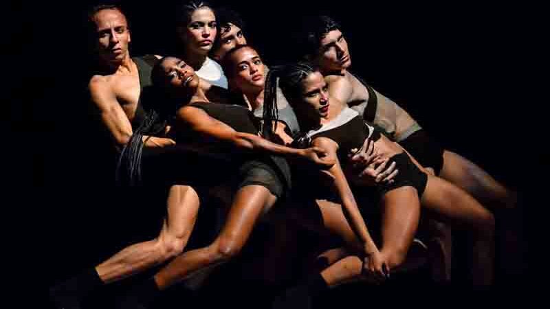 Codanza: 33 años de una labor constante y gigantesca