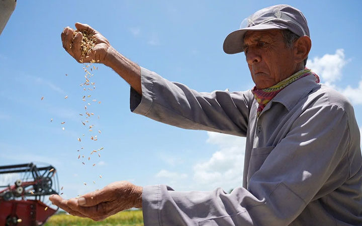 Cuba y Vietnam estrenan documental Semillas de felicidad