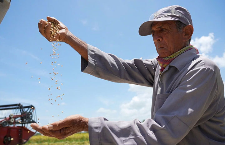 Cuba y Vietnam estrenan documental Semillas de felicidad