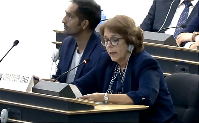 Defiende Cuba derechos culturales y denuncia bloqueo en ONU