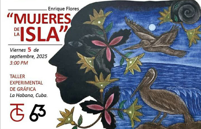 Continúa abierta en La Habana exposición de artes gráficas Mujeres de la Isla