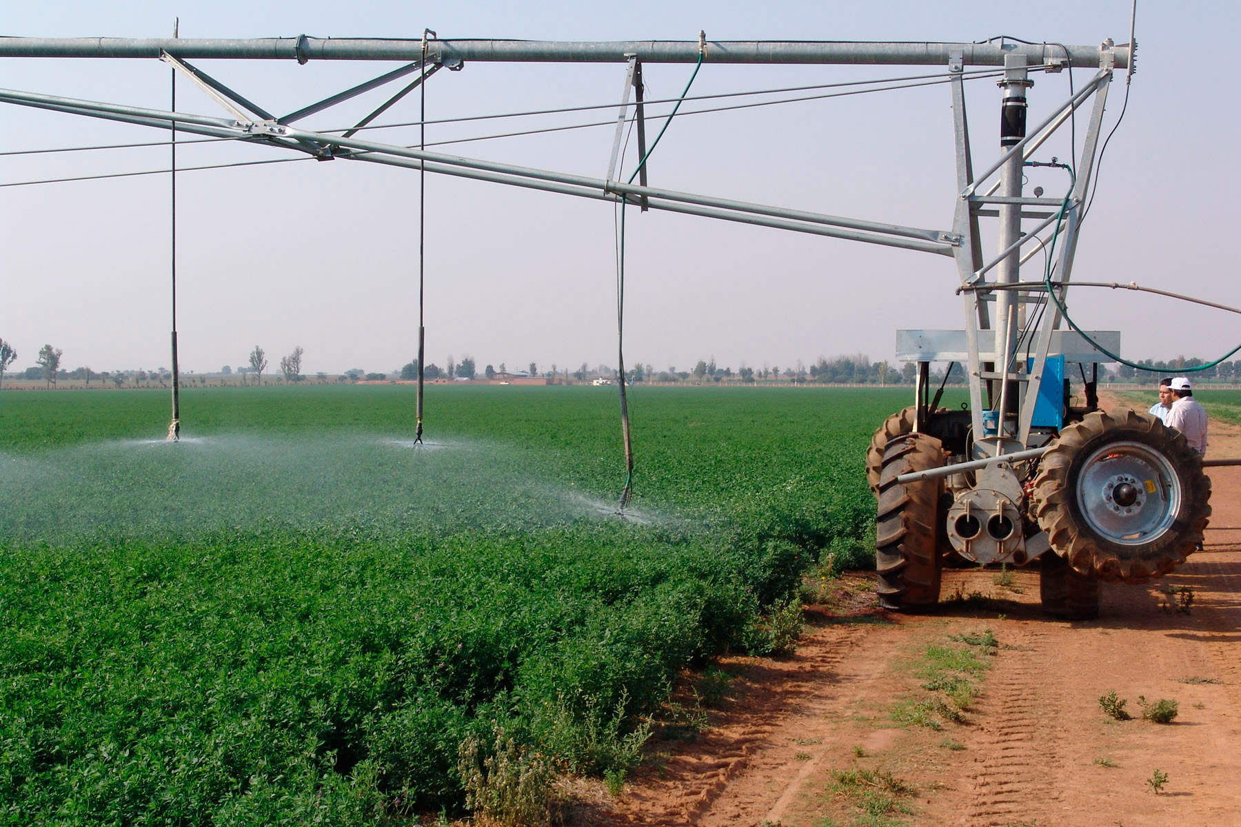 Realizarán Comprobación Nacional al Control Interno en más de 150 entidades del sector agropecuario