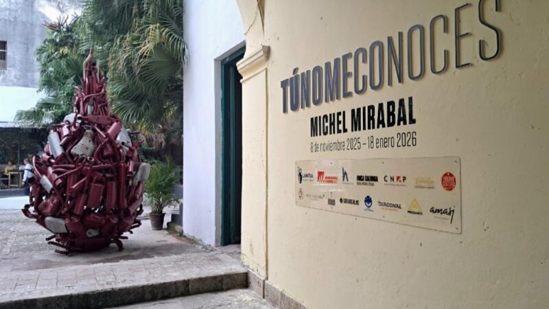 “Tú no me conoces”, nueva muestra del artista Michel Mirabal en Cuba (+Fotos)