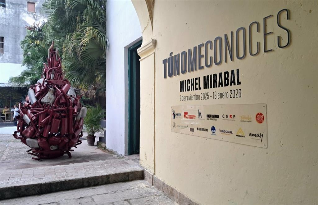 “Tú no me conoces”, nueva muestra del artista Michel Mirabal en Cuba (+Fotos)