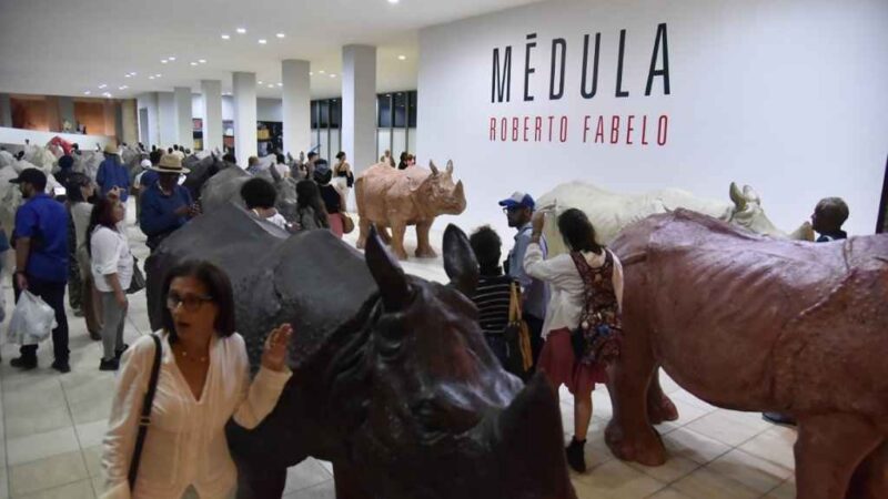 Un viaje a la Médula, a la esencia de Roberto Fabelo