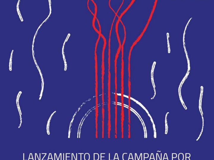 Asociación Hermanos Saíz de Cuba lanzará campaña por aniversario 40