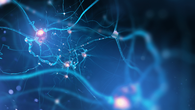 Cómo activar el nervio vago