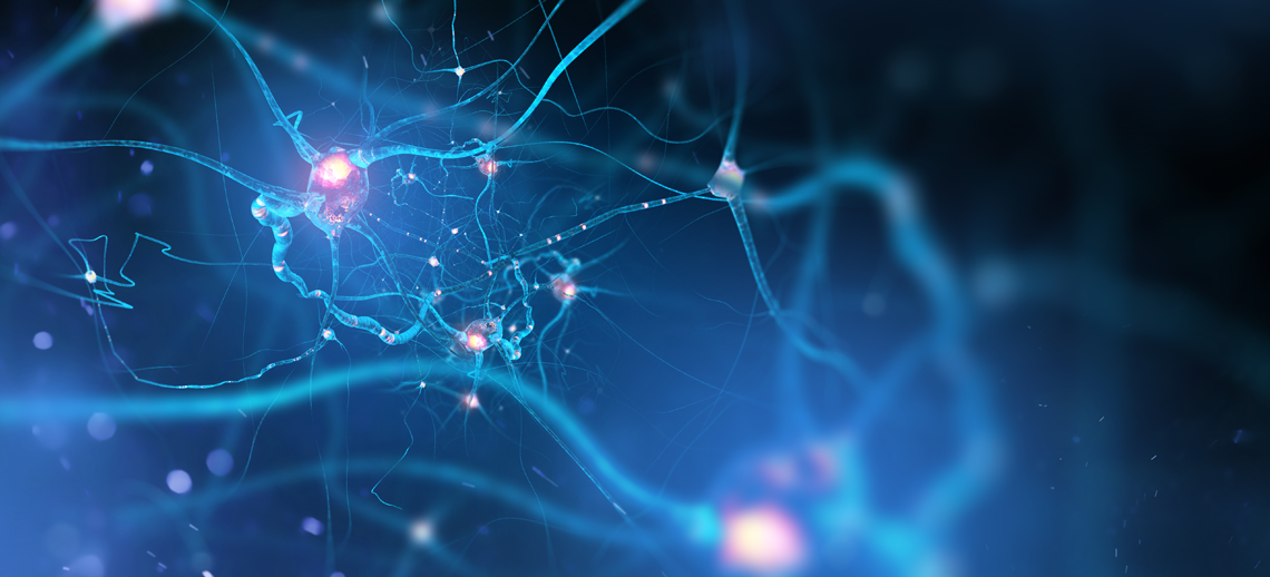 Cómo activar el nervio vago