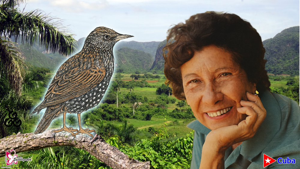 Libros que todos debemos leer: El valle de la Pájara Pinta, de Dora Alonso