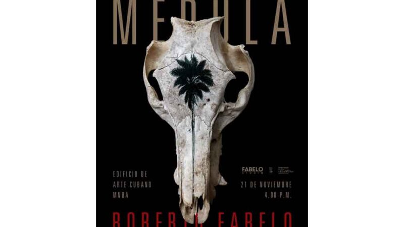 Acogerá Museo Nacional de Bellas Artes exposición de Roberto Fabelo