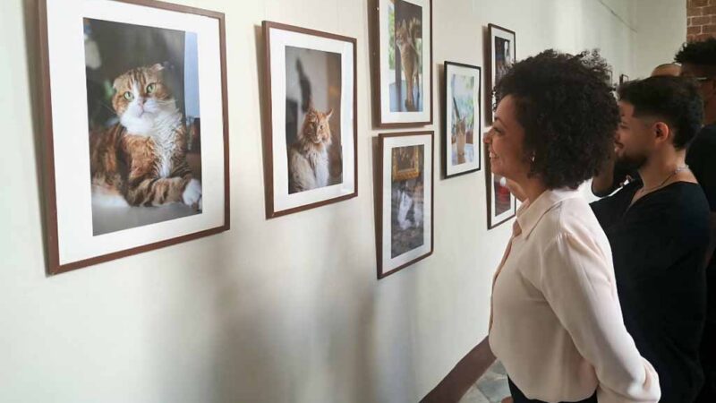 Inauguran en La Habana muestra fotográfica Vecinos nobles