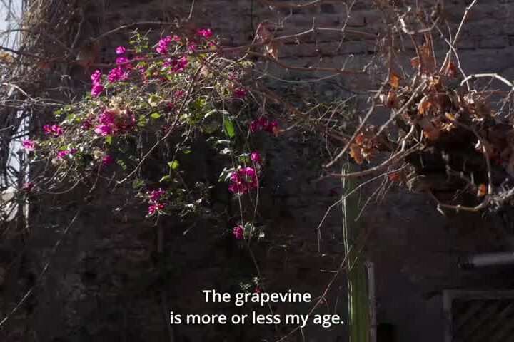 Filme chileno Cartas a mis padres muertos en concurso