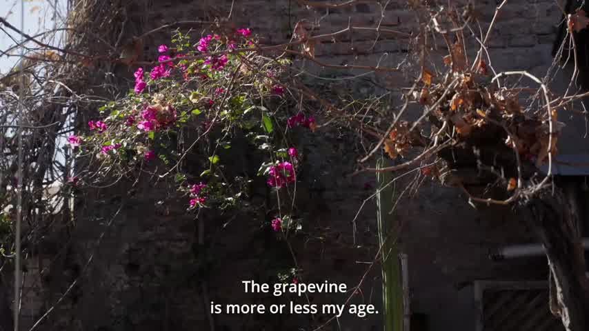 Filme chileno Cartas a mis padres muertos en concurso