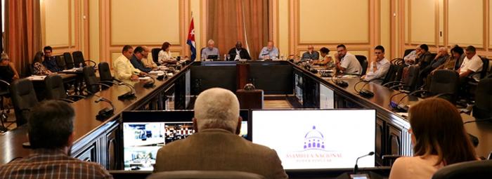 Analiza Consejo de Estado temas de la agenda nacional