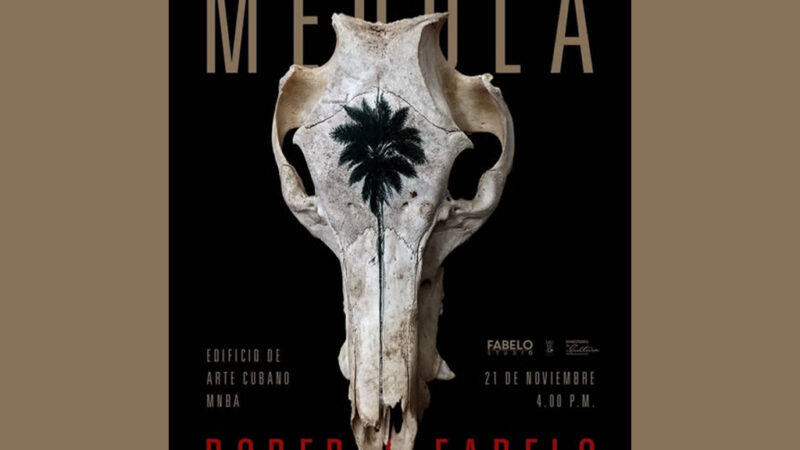 Museo Nacional de Bellas Artes invita a exposición de Roberto Fabelo