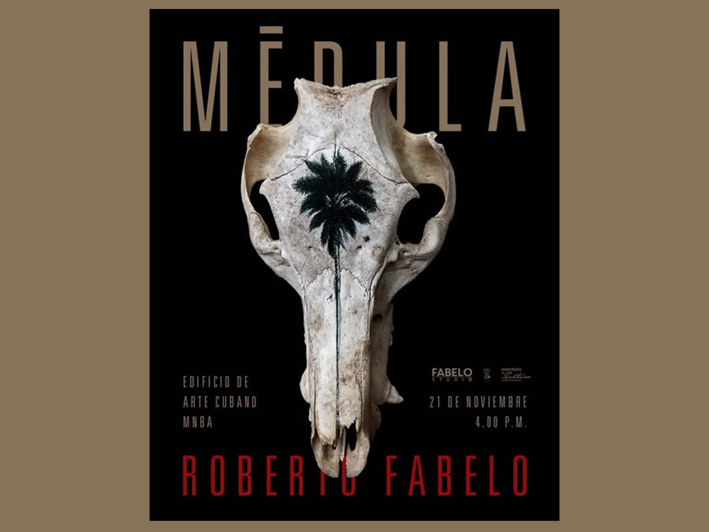 Museo Nacional de Bellas Artes invita a exposición de Roberto Fabelo