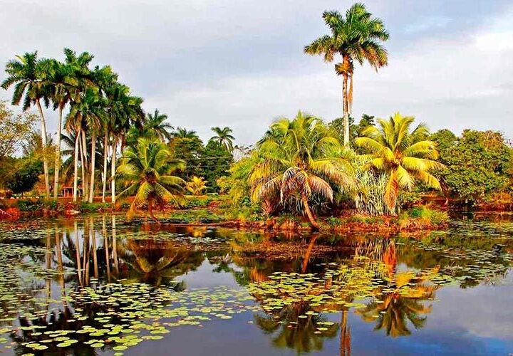 Gotas del Saber, Áreas Protegidas de Cuba