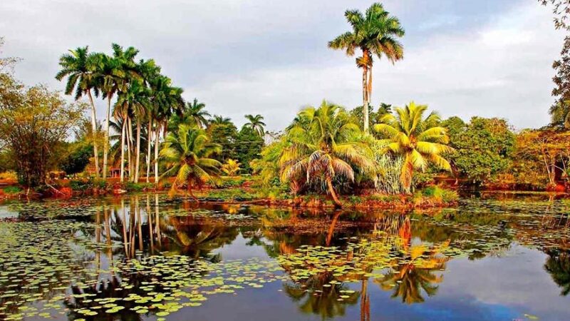 Gotas del Saber, Áreas Protegidas de Cuba