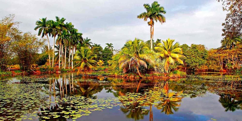 Gotas del Saber, Áreas Protegidas de Cuba