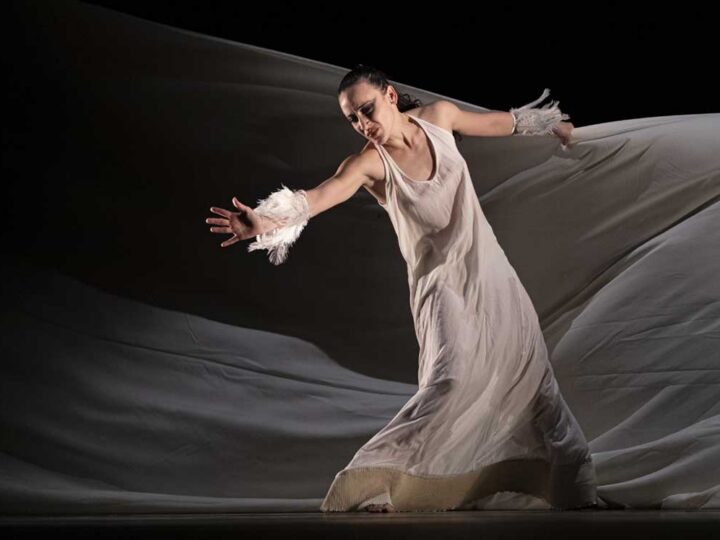 Las visitaciones de la Compañía Rosario Cárdenas a Belkis Ayón