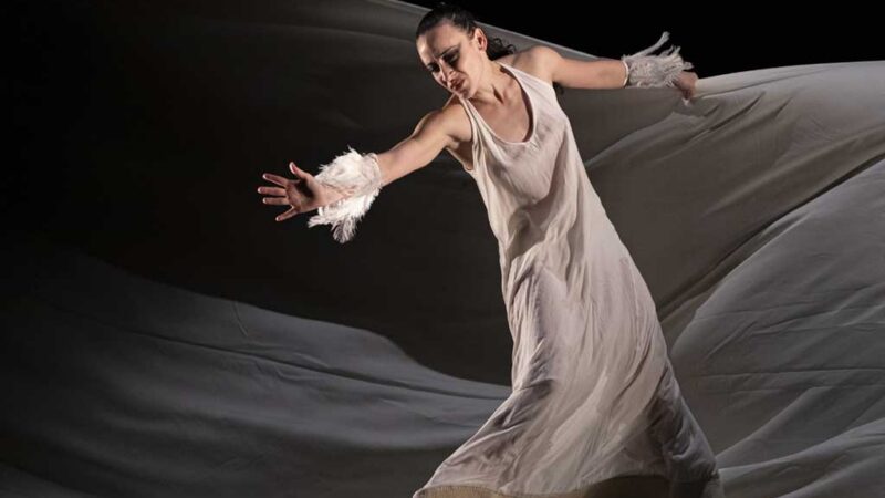 Las visitaciones de la Compañía Rosario Cárdenas a Belkis Ayón