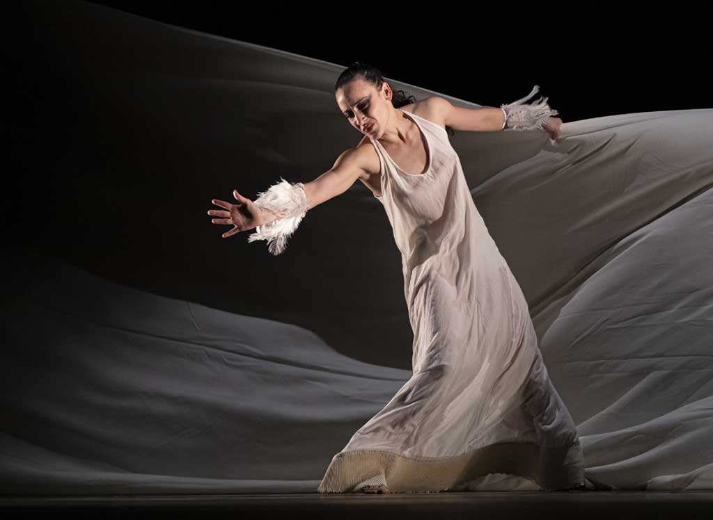 Las visitaciones de la Compañía Rosario Cárdenas a Belkis Ayón