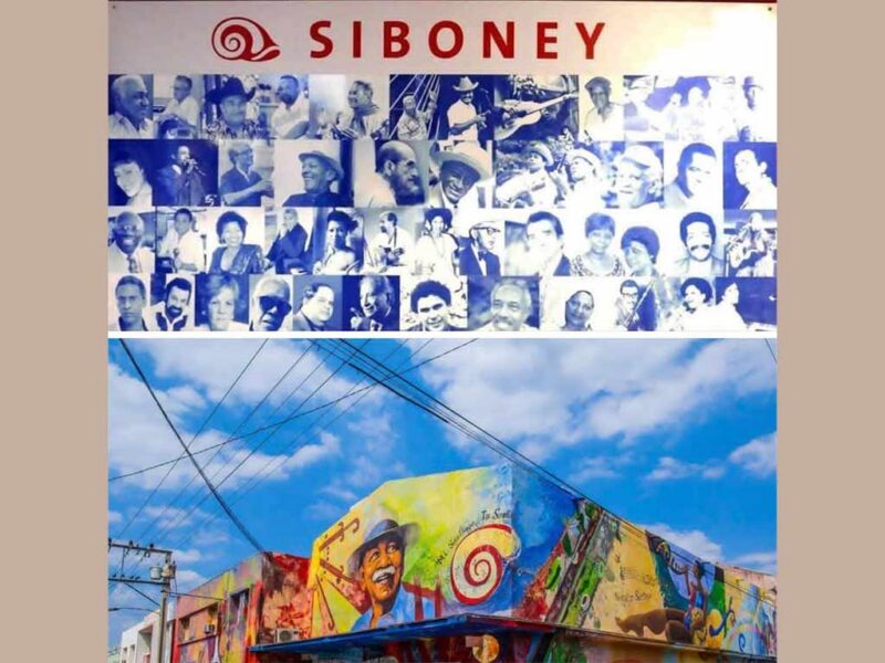 Recibe Estudios Siboney Premio Honorífico Palma Real