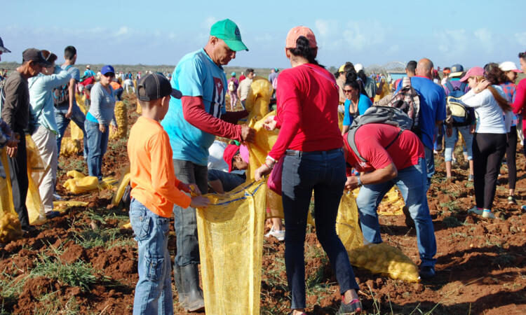 Convocan a Jornada nacional de trabajo voluntario y productivo
